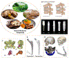 Fig.1