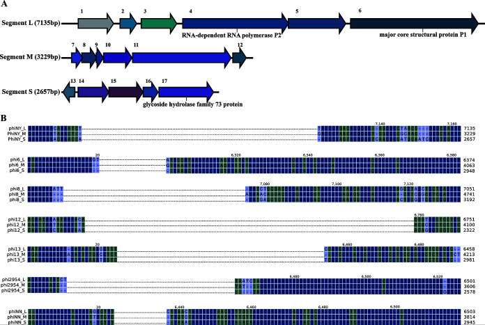 FIG 3