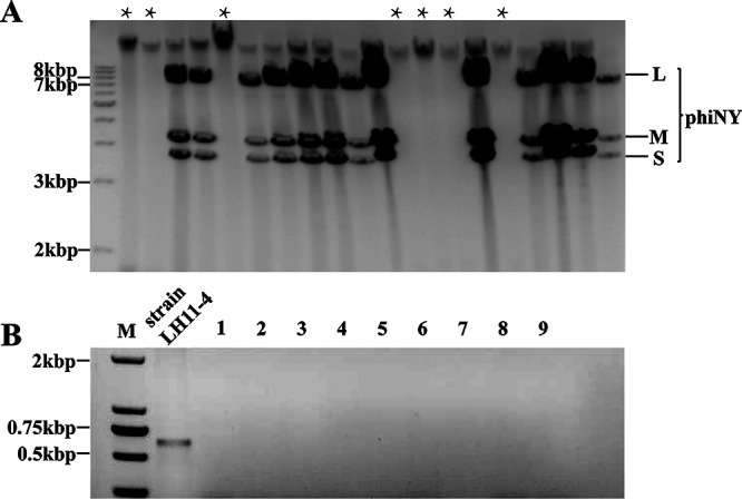 FIG 2