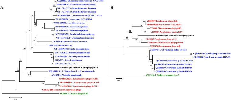 FIG 4