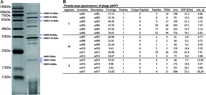 FIG 5