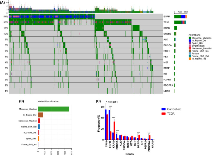 FIGURE 1
