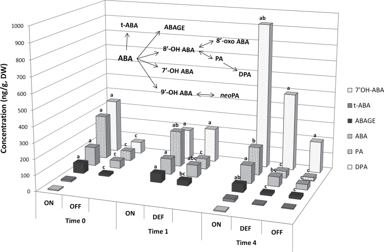 Fig. 7.