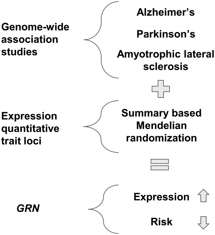 Graphical Abstract