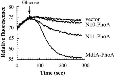 FIG. 5.