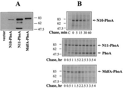 FIG. 6.