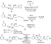 Scheme 6