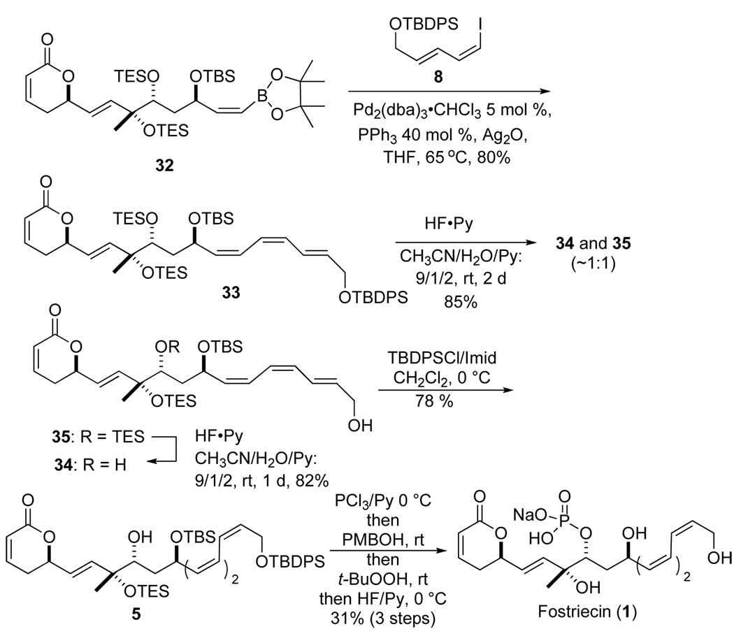 Scheme 6