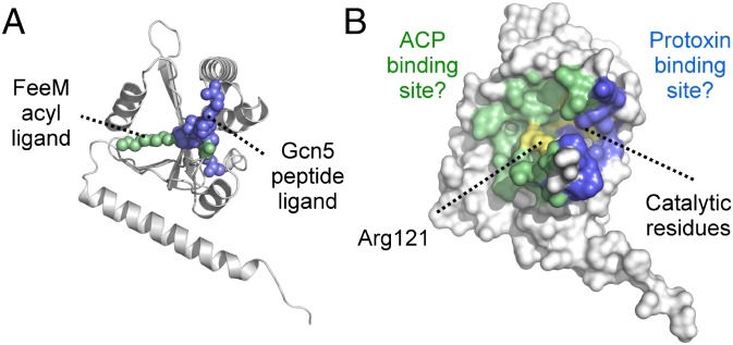 Fig. 7.