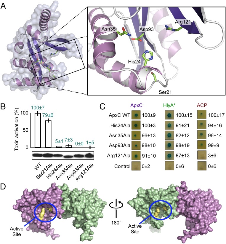 Fig. 6.