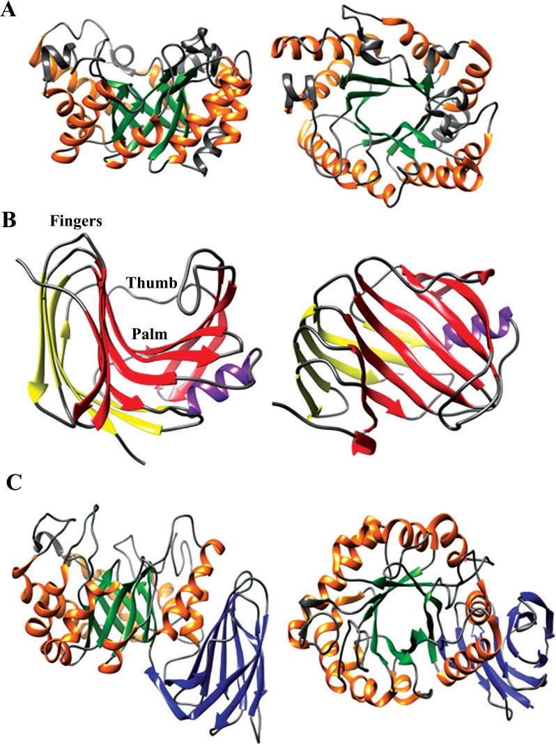 Fig. (3)