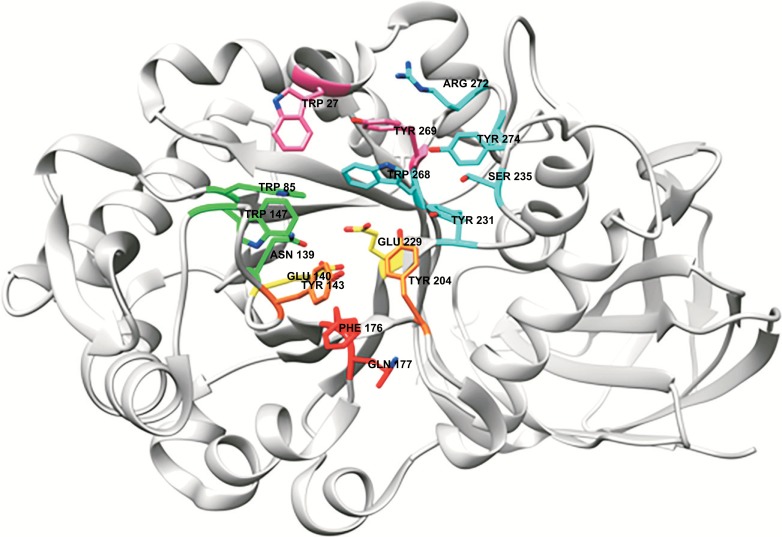 Fig. (6)