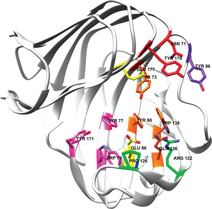 Fig. (5)