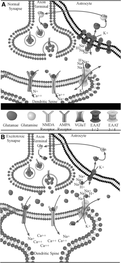 FIG. 1.