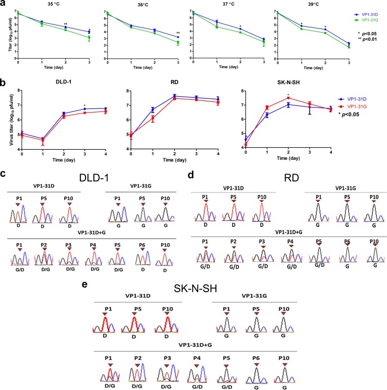 FIG 6