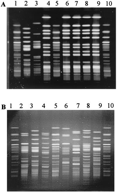 FIG. 1