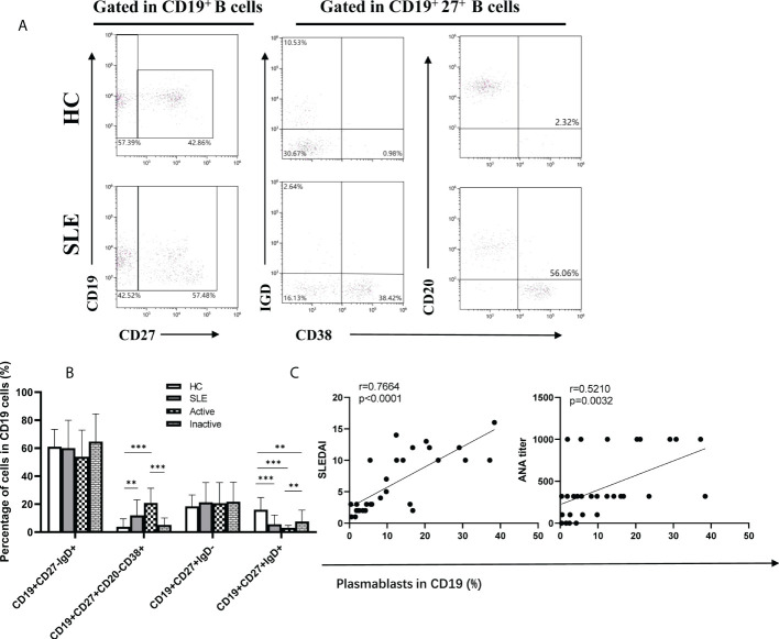 Figure 3