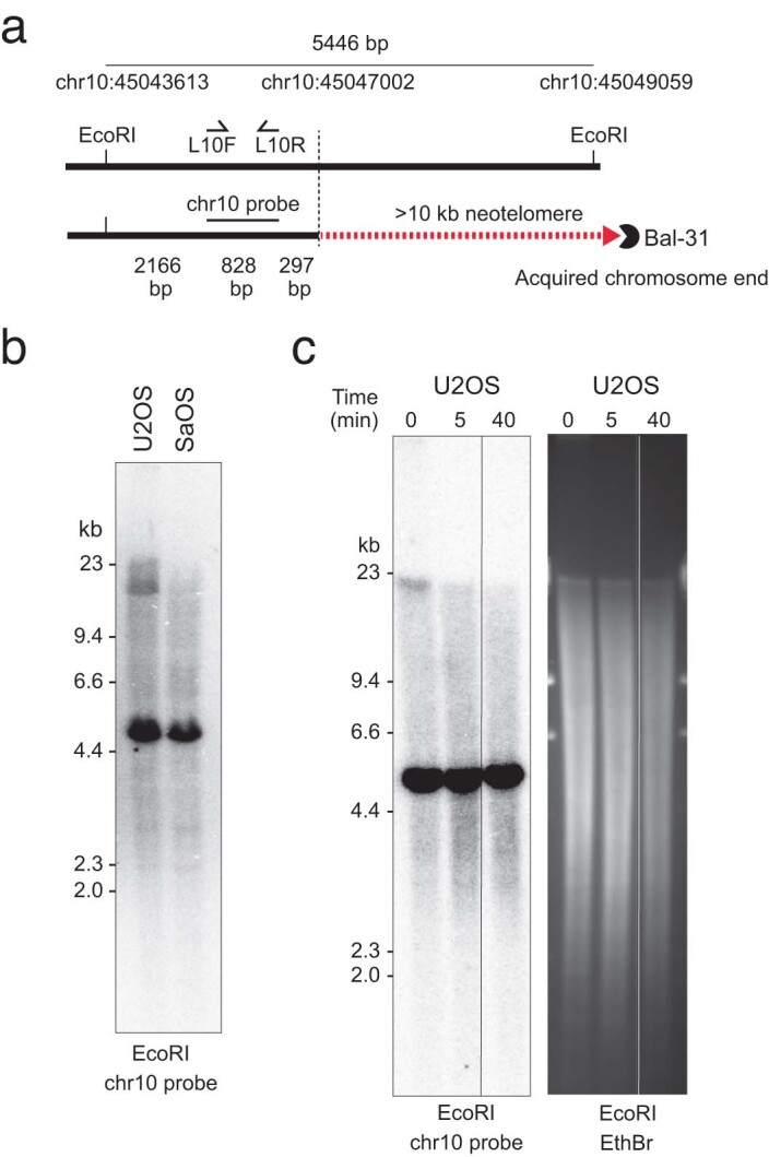 Extended Data Fig. 7