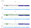 Figure 2 -
