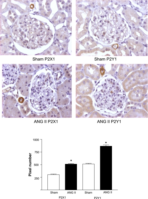 Fig. 7.