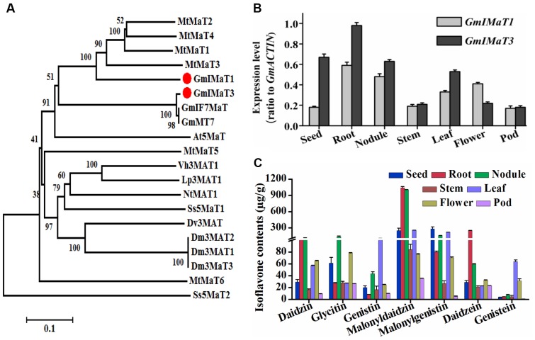 FIGURE 2