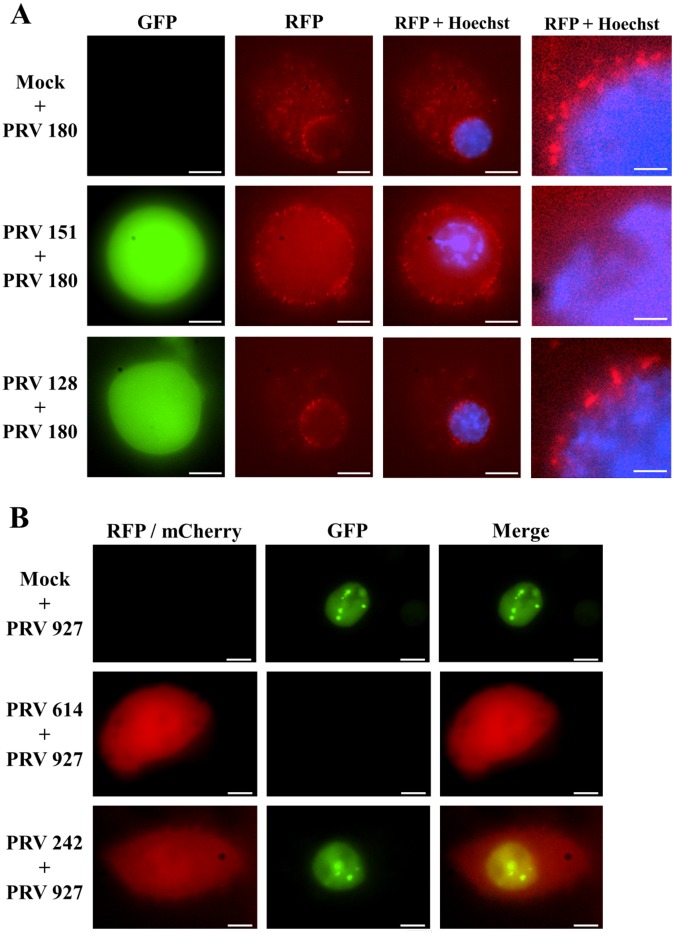 FIG 4 