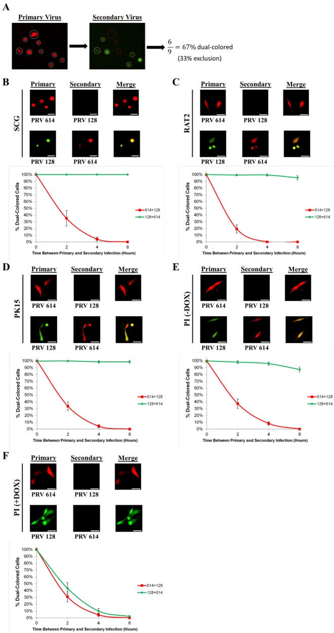 FIG 3 