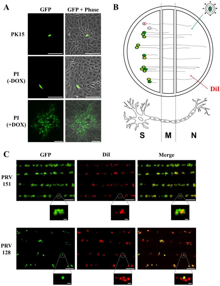 FIG 2 