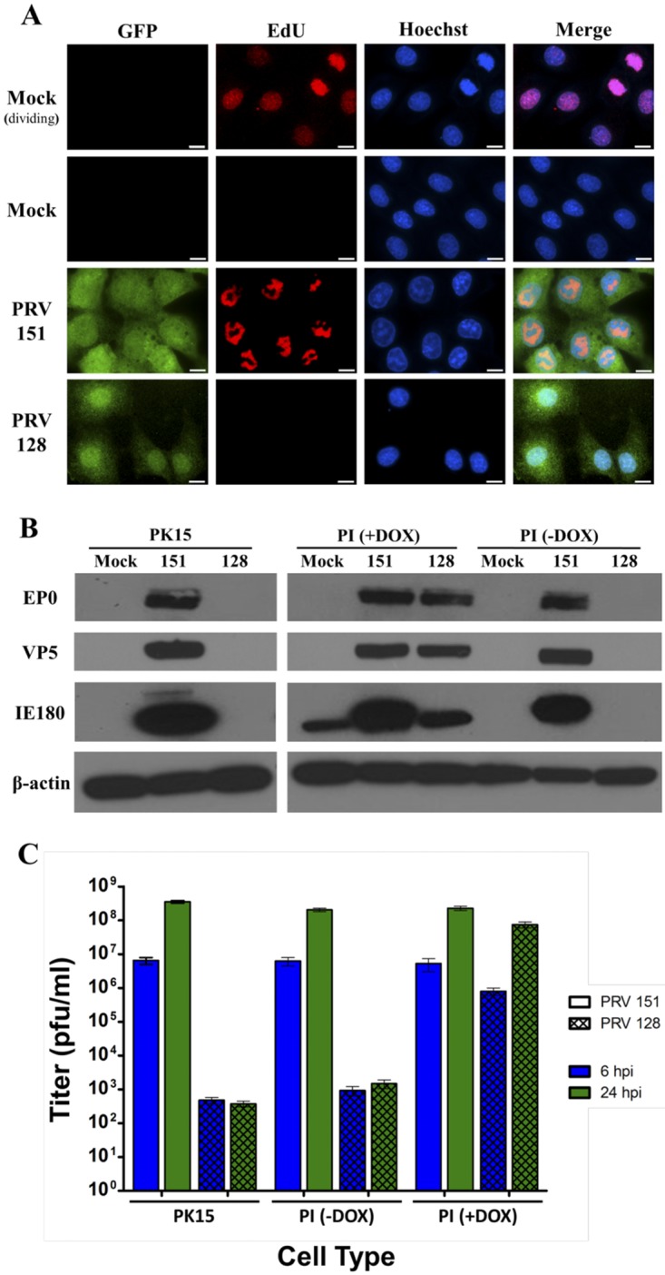 FIG 1 