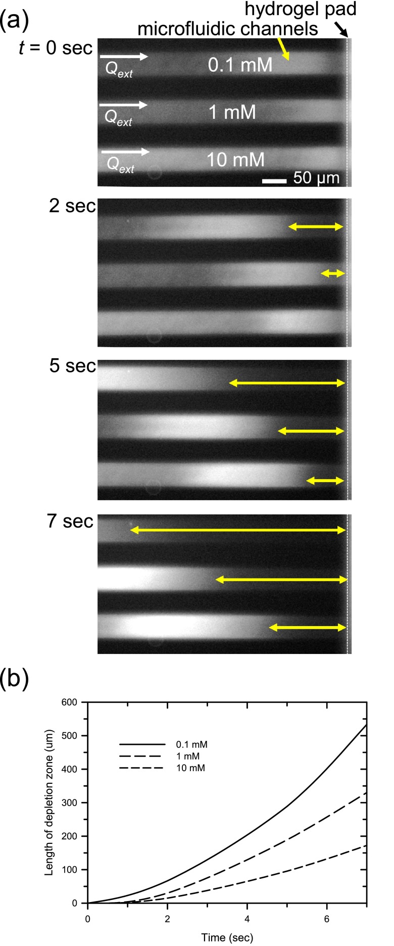 FIG. 5.