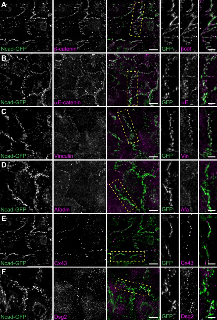 FIGURE 3: