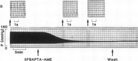 graphic file with name pnas00302-0257-a.jpg