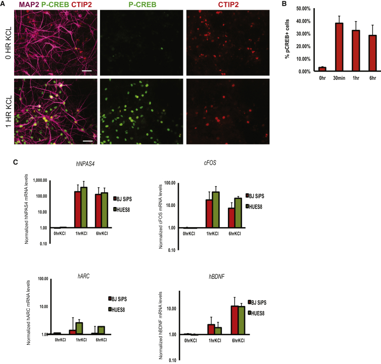 Figure 4