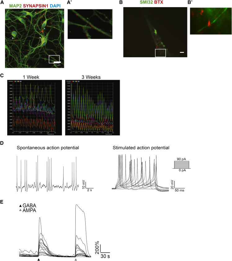 Figure 6