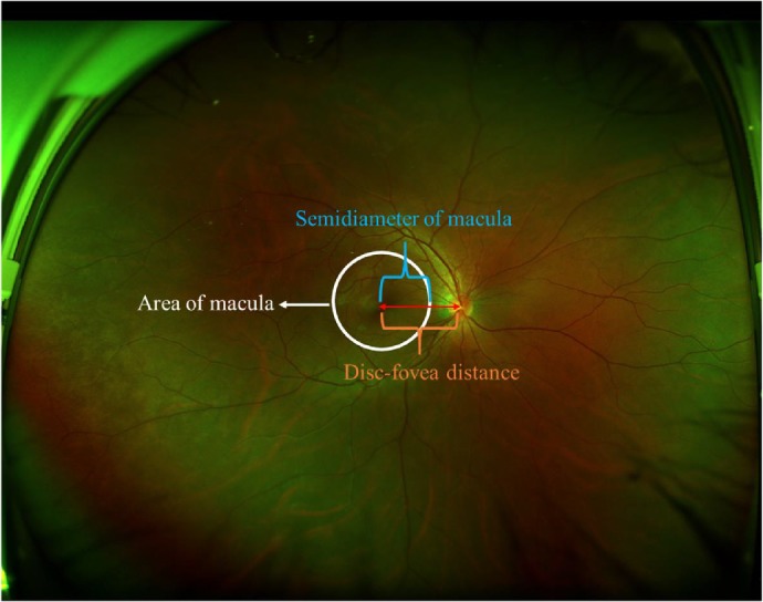 Figure 1.