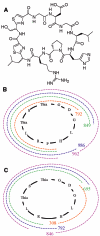 FIG. 3.