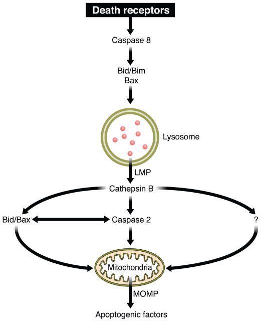 FIG. 10