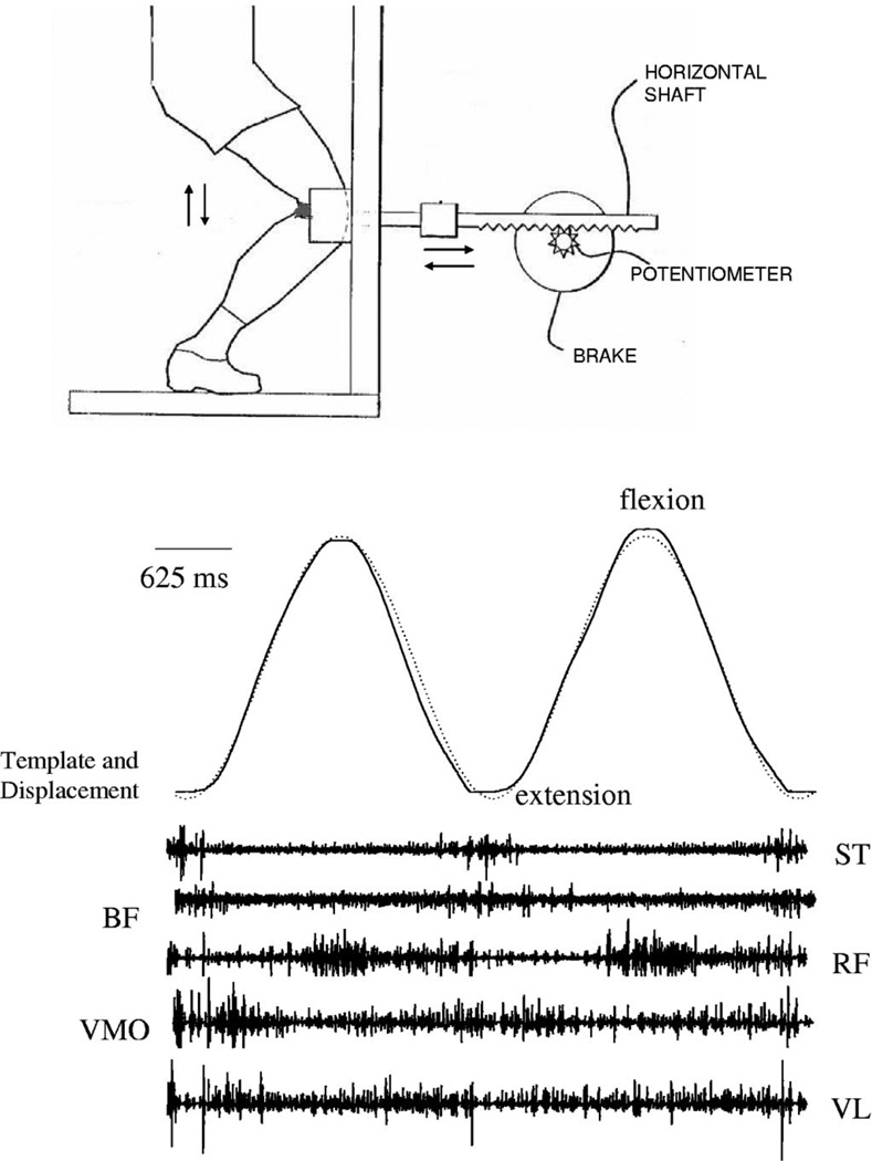 FIGURE 1