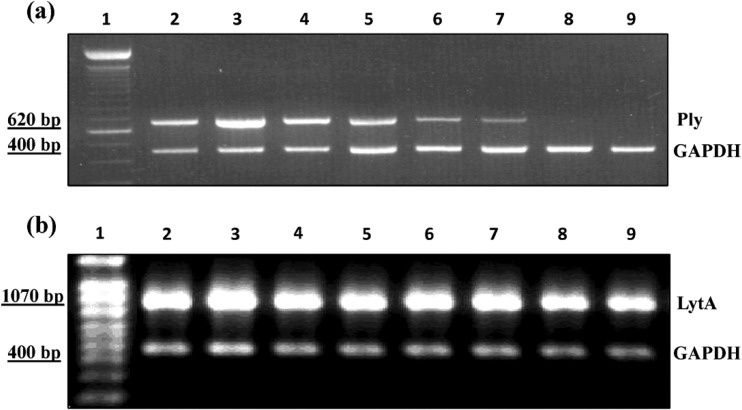 FIG 9