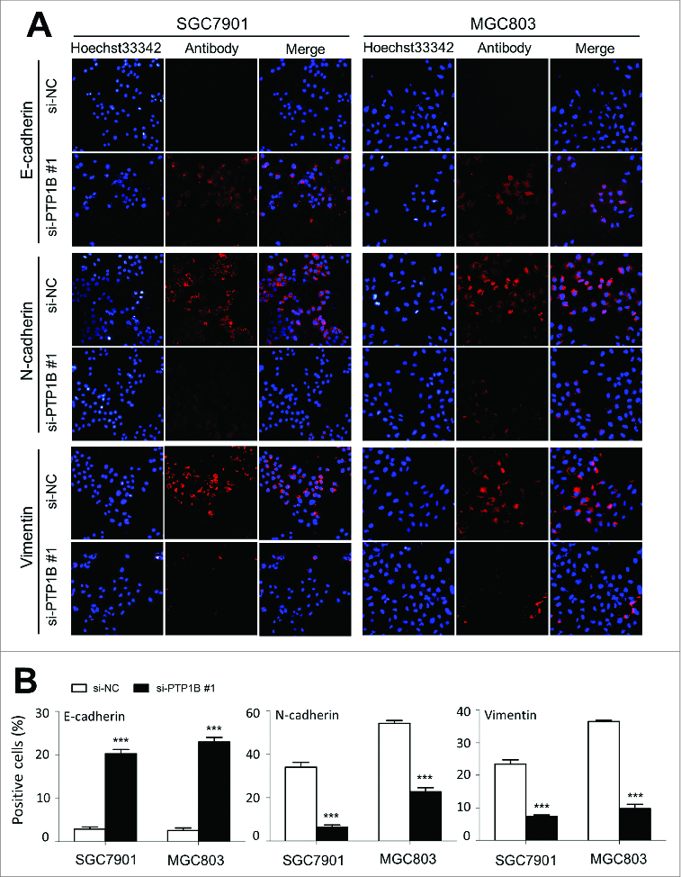 Figure 5 (See previous page).