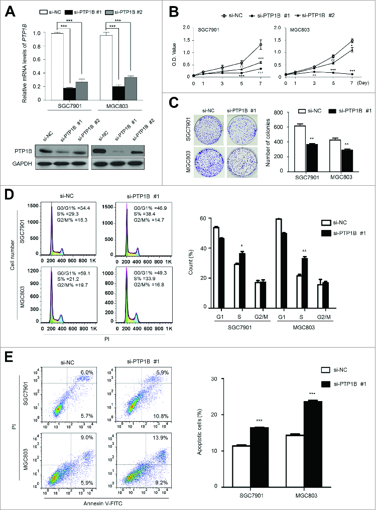 Figure 3 (See previous page).