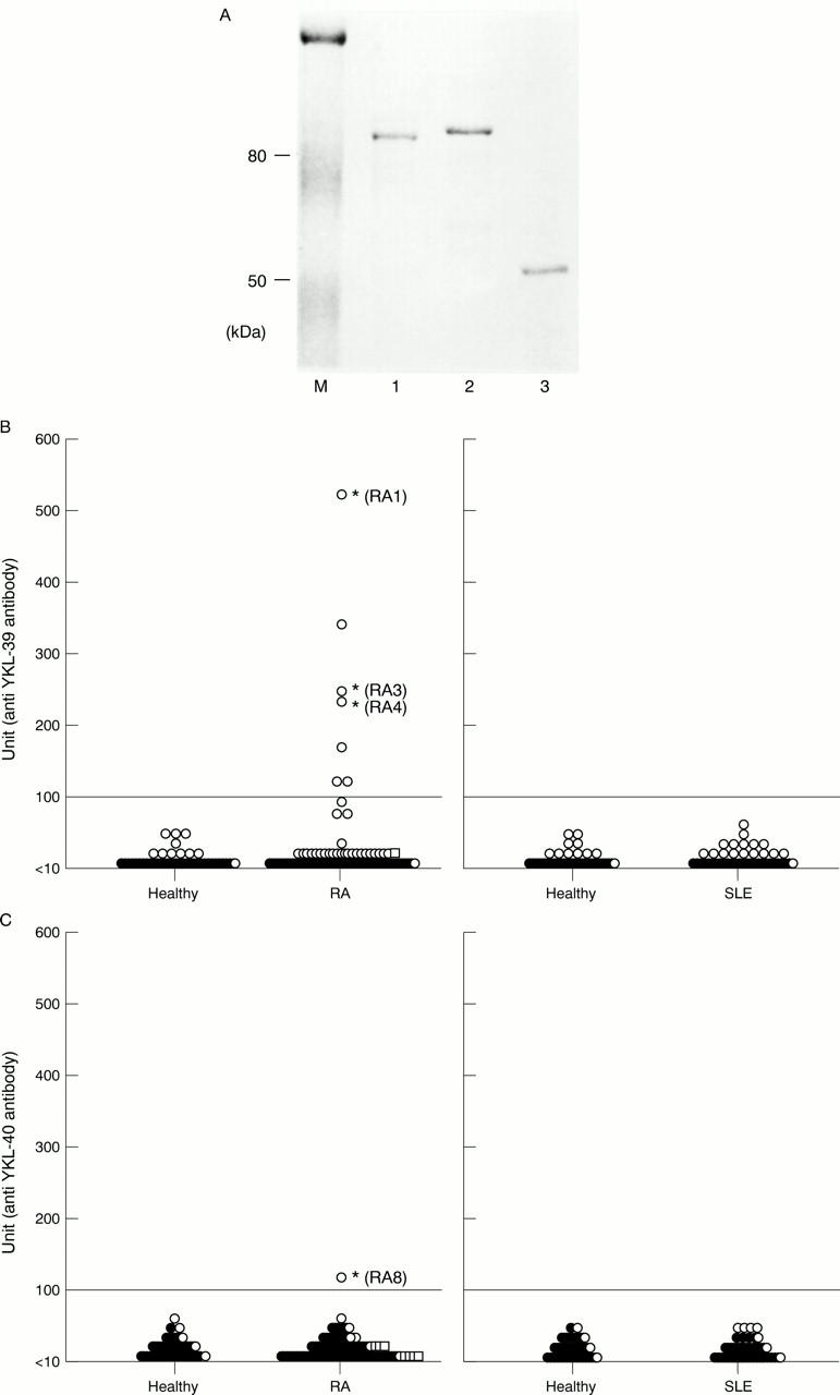 Figure 1  