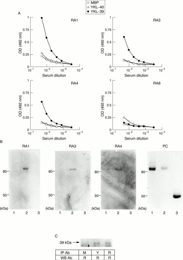 Figure 2  