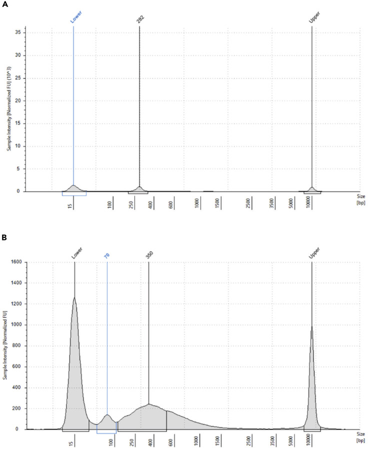 Figure 10