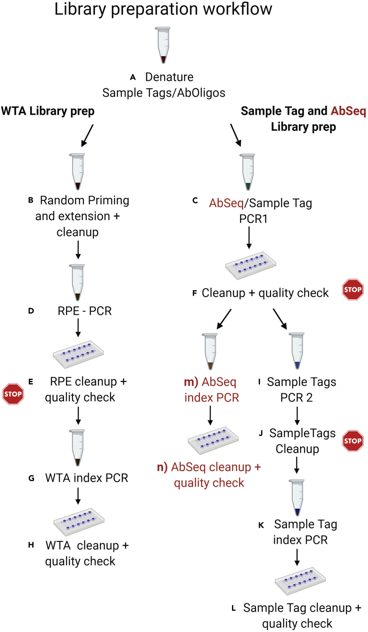 Figure 6