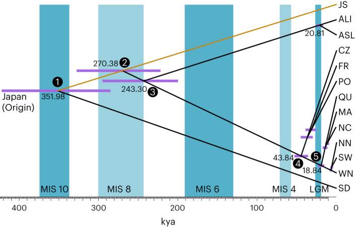 Fig. 4