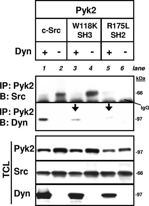 FIG. 9.