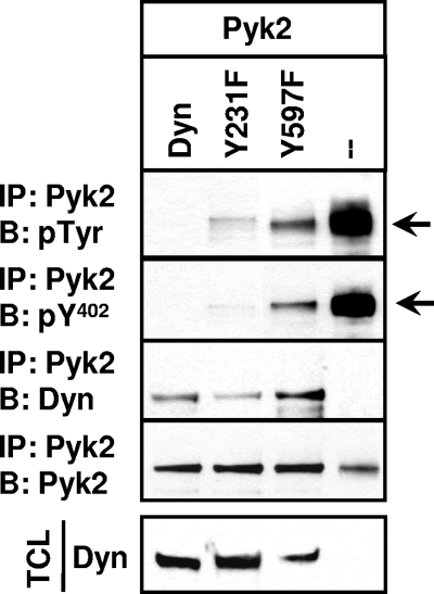 FIG. 8.