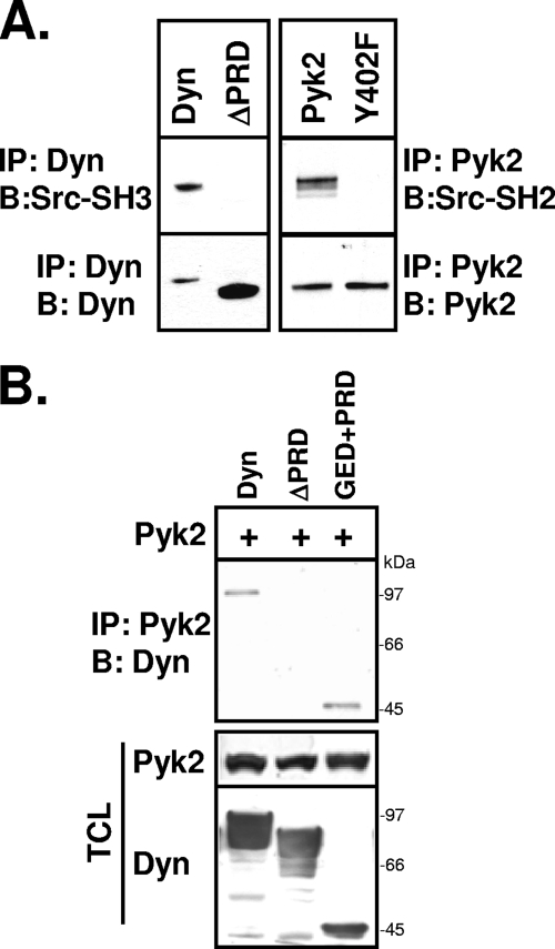 FIG. 10.