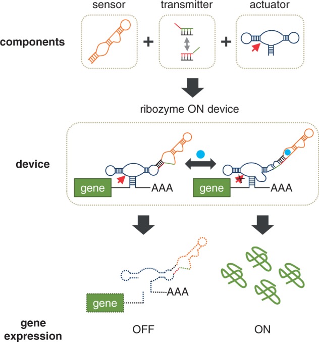 Figure 1.